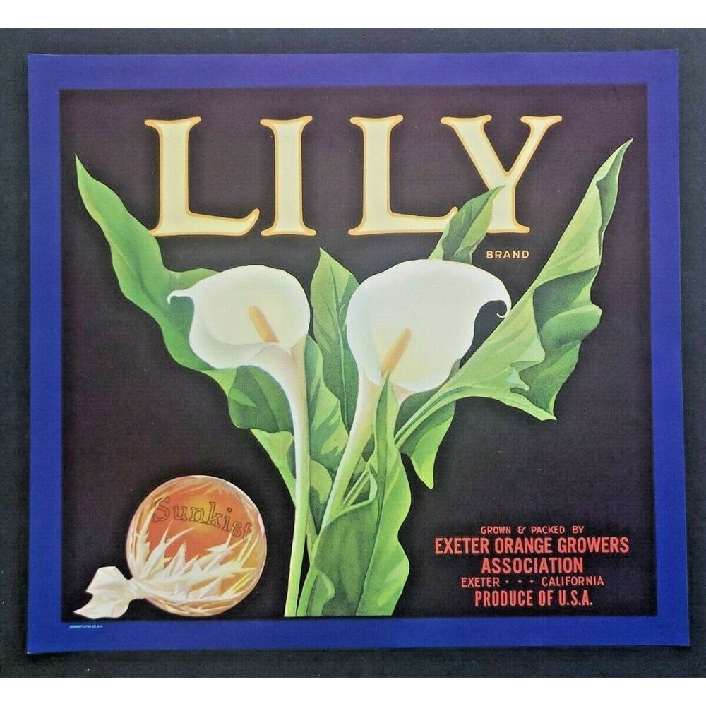 Vintage 1940's Lily Original‎ Sunkist Orange Crate Label Exeter, CA. USA WS8D